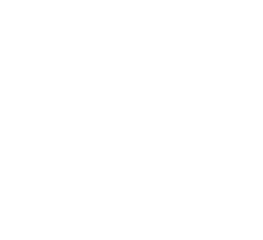 Logo HiFi-ve